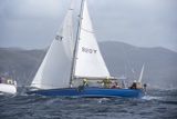 scintilla of the sea 920y whyw25 750_5622